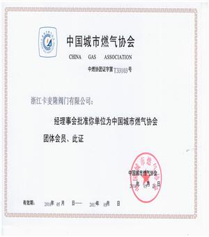 中國(guó)城市燃?xì)鈪f(xié)會(huì).jpg